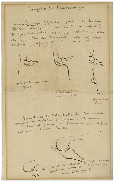 Dr. Richard von Volkmann Handwritten Notes From a Lecture on Orthopedic Medicine -- With 8 Hand-Drawn Sketches Including a Large Sketch of the Femur & Tibia Bones